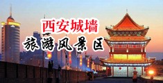 性感空姐被男人大鸡巴操爆中国陕西-西安城墙旅游风景区